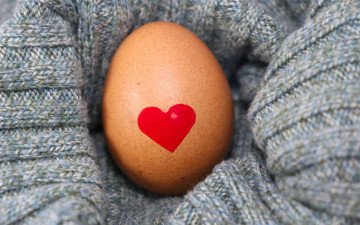 Eggs and Heart Health