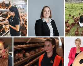 Women in the egg industry 