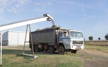Manure being loaded into truck